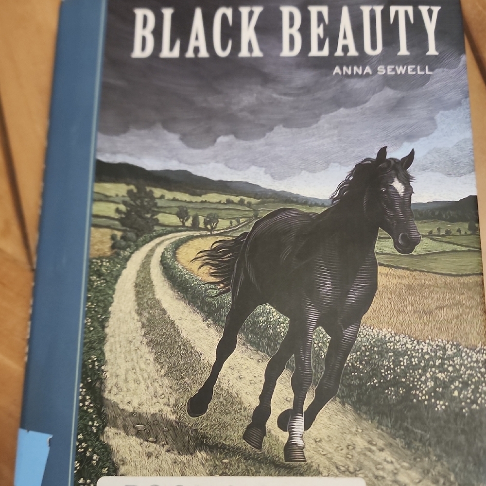 🩵 Black Beauty Hardcover Book - Classic Children's Novel by Anna Sewell - Black